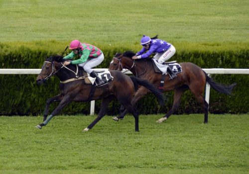 horse-racing-1577292_1280