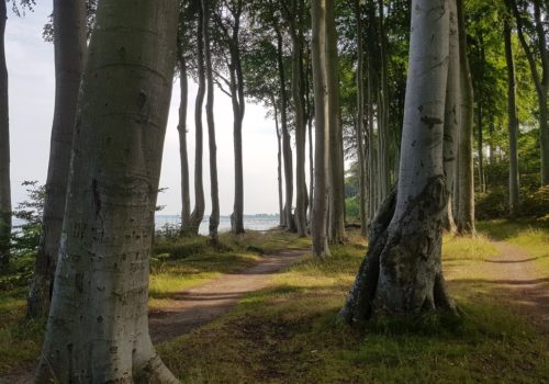 ostsee-5498368_1280